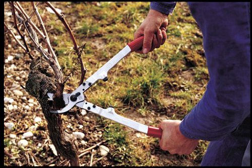 FELCO 12 Sécateur Bypass Droitier Avec Poignée Tournante