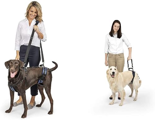 Miniatura 8 de Arnés para perro soporte de elevación y ayuda SOLVIT Carelift