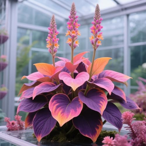 Hosta Lampadine decorative grandi, perfette per vasi, contenitori e espositori per interni, B-6 lampadine