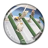 Vereinigte Arabische Emirate Abu Dhabi Falcon Krankenhaus Kabul Abdul Rahman Moschee Kühlschrank Magnet Aufkleber Souvenir Reise Geschenk Sammlerstücke 3D Kristall Handwerk