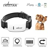TKSTAR 4G LTE Mini GPS Tracker GPS Finder Locator for Pet Dog/Cat/Pony, Real-time Location Waterproof No Monthly Fee Tracking Device with Anti-Lost Collar Remote Voice Monitor - 4G TK909