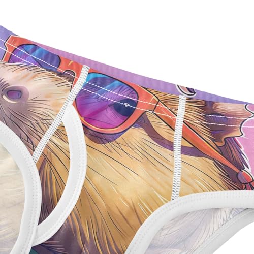 ODAWA Capybara Rainbow Funny Tag Free Toddler Cotton Underwear, 2T Underwear4