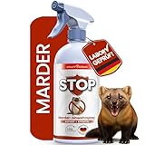 KRAFTKÖNIG Marderspray 500 ml – Marderabwehr mit Soforteffekt – Direkt anwendbar für Auto, Haus & Garage – Alternative zu Marderschreck Auto – Made in Germany