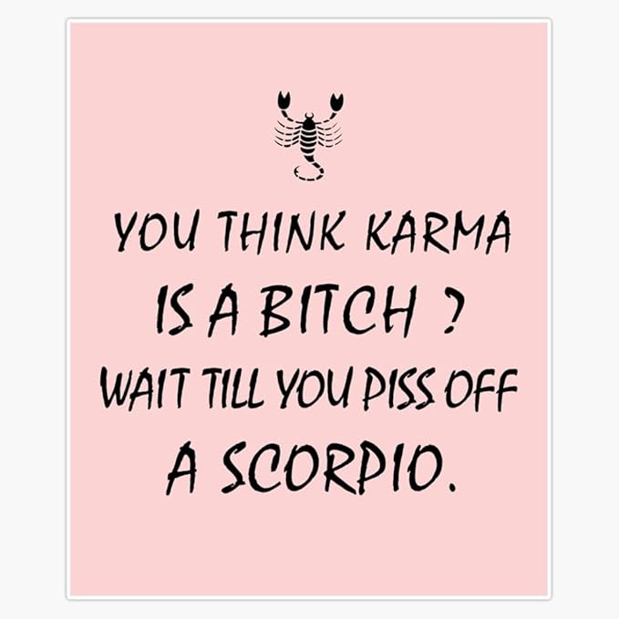Leyland Designs Scorpio Zodiac Karma Bitch, Piss Off Funny Bumper Sticker Window Water Bottle Decal 5