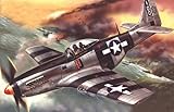 Calcomanías y guía de pintura de 2 aviones USAAF