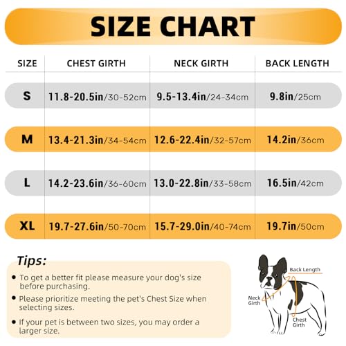 Lelepet Hundewindeln für Hündinnen, Waschbar Windeln für Hunde mit Verstellbarem Strumpfhalter, Wiederverwendbare Hunde Periodenhose, Hündinnen Läufigkeitshose Welpenwindeln, Rosa M