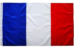 Stunning 3x5 French Flag Showcasing National Pride