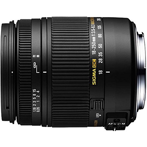 Image of Sigma 18-250mm f/3.5-6.3 DC Macro HSM Lens for Sony