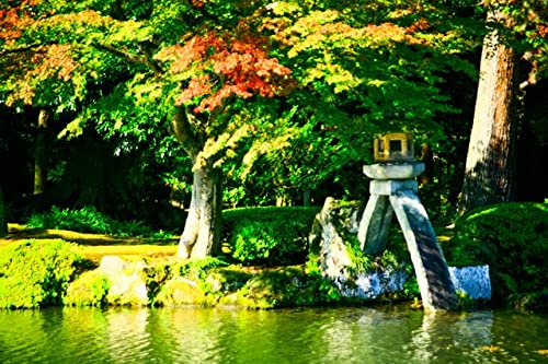 【日本の風景ポストカード】石川県金沢市秋の兼六園12のポストカードはがきハガキ葉書