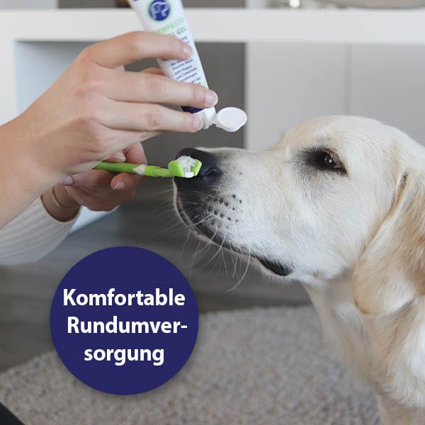 Canosept Zahnpflege-Paket inkl. Dr. Fressnapf Online-Tierarzt Beratung für Hunde - Hundezahnbürste – Hundezahnpasta – Fingerlinge Hunde - Zahnbürste Hund - Hunde Zahnpflege