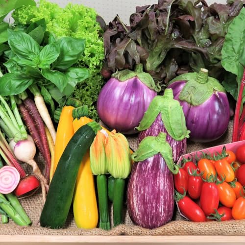 かほくイタリア野菜 旬のおまかせBOX(約5〜8種類)