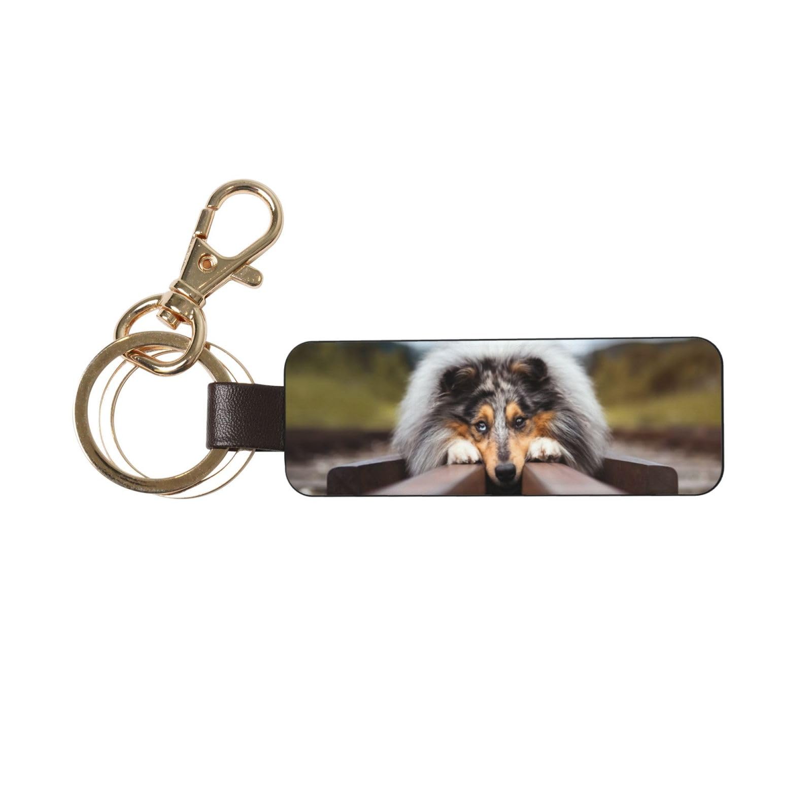 Hcmuxisen Unisex As Picture Rough Collie Bokeh Railway Dogs Pets Rough, Pu Leather Keychain, Keychains Keyring Key Chain Ring 1 Pc
