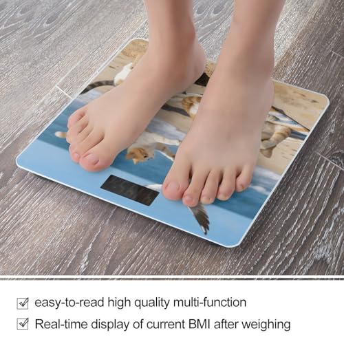 Báscula Digital de Baño Beach Cat Fun 400 lb miniatura 5
