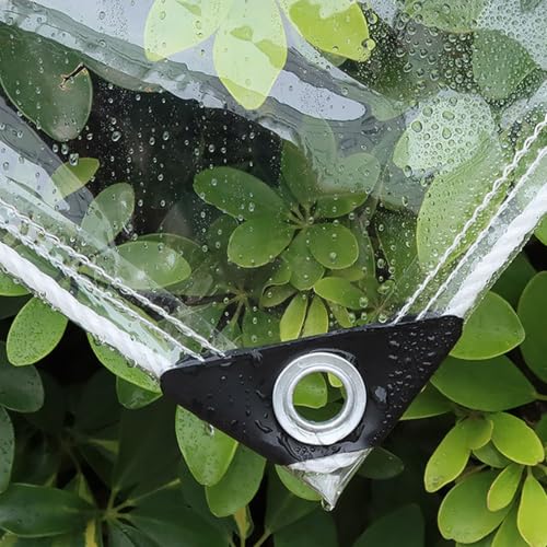 Bâche transparente PVC 3x8m avec œillets pour protection jardin