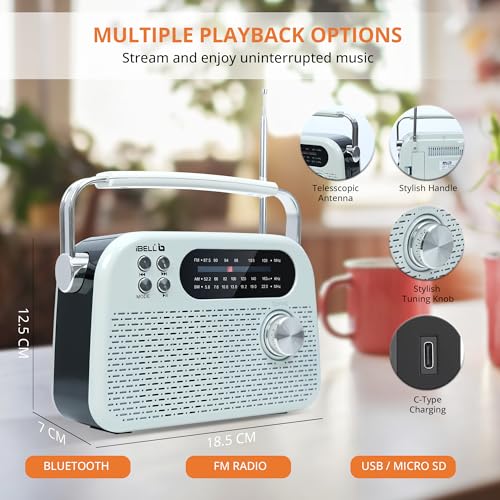 Image of iBELL FM730BT Wireless FM Radio Bluetooth Speaker, Portable MP3 Player with USB & SD Card