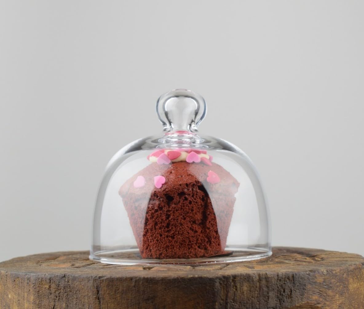 EMH Handmade Glass Display Cover Cloche Bell Dome With Knob Tall 10 cm x 11 cm