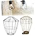 WEISUYUUS Industrial Metal Cage Protective Cover for Hanging Light Bulbs Retro Styles Iron Lamp Shade Work with Various Fixtures