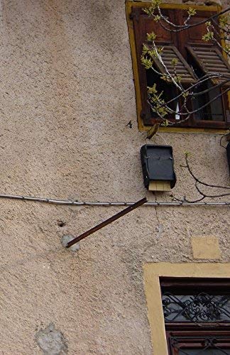 Schwegler Naturschutzprodukt Fledermaus Nistkasten Nisthöhle Fledermaushöhle 1FF mit eingearbeiteter Holzrückwand aus Holzbeton Höhe 43 cm
