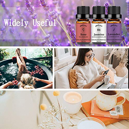Yethious Jasmine Essential Oil Rose Essential Oil Lavender Essential Oil Set 100% Pure Organic Jasmine Aromatherapy Oils Gift 3 Pack For Diffuser Rose Fragance Oil #TOP4