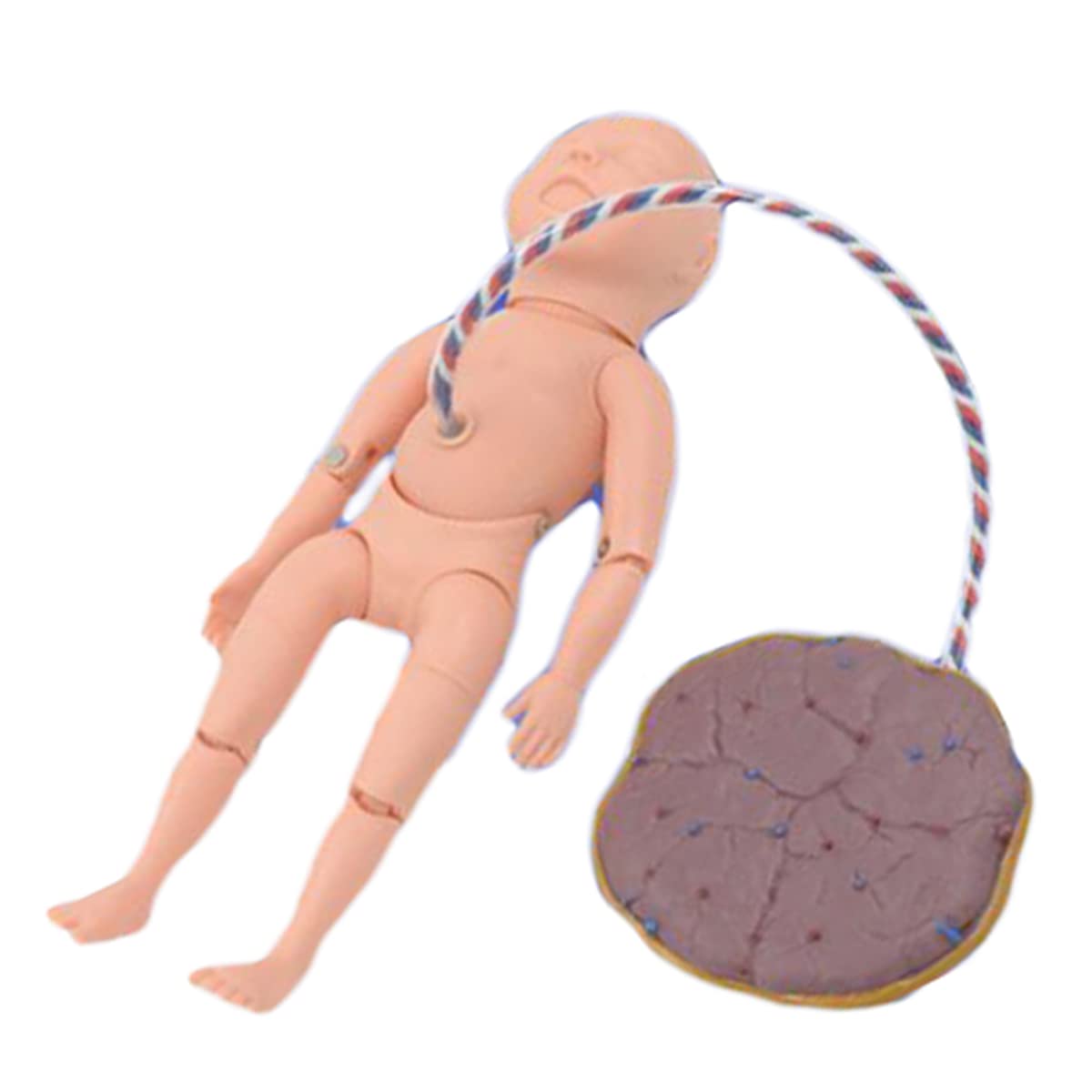 Sjdopulse Men's A Manikin Baby Umbilical Cord Nursing Model Manikin Teaching Model Newborn Umbilical Cord Training Model For Nursing Teaching Demonstration (A)