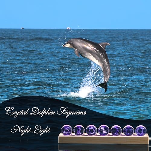 Image of Qianwei 3D Crystal Ball Dolphin Gifts for Women Men - 7pcs Dolphins Decor Glass Figurines Statue Stuff for Room Decorations Birthday for Lovers Keepsake Paperweight