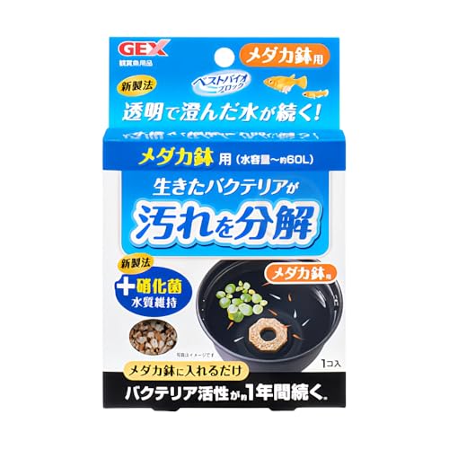 WFbNX GEX xXgoCIubN _Jp 2Zbg IWiS