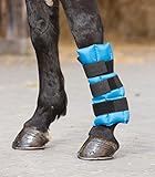 waldhausen fisibach  WALDHAUSEN Kühlgamasche, 1 Stück, petrol, Warmblut