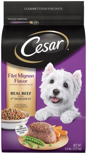 Cesar Dry Dog Food
