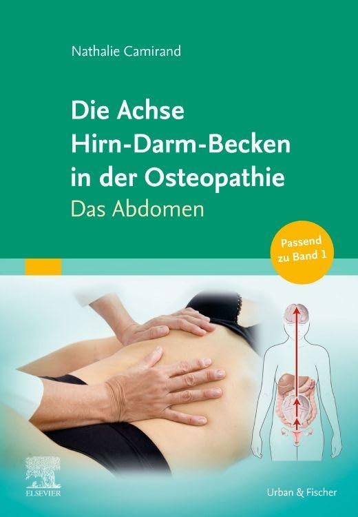 Die Achse Hirn-Darm-Becken in der Osteopathie: Das Abdomen (KIM - Fachbuch - Urban & Fischer Verlag)