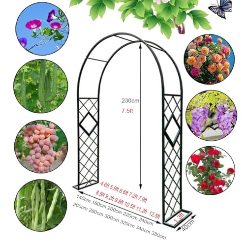 Arche de jardin solide pour soutenir durablement rosiers et vignes