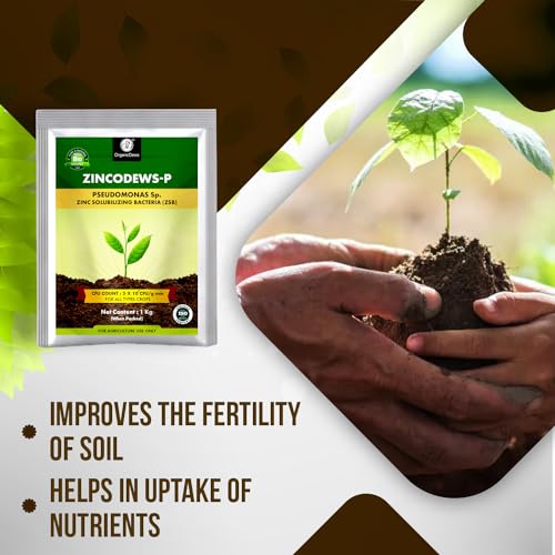 Image of OrganicDews Zinc Solublizing Bacteria Bio Fertilizer 1 Kg (5x10^7 CFU /g) for Plants - Soil Fertility, Faster Plant Growth and Increases the Yield 1 Kg