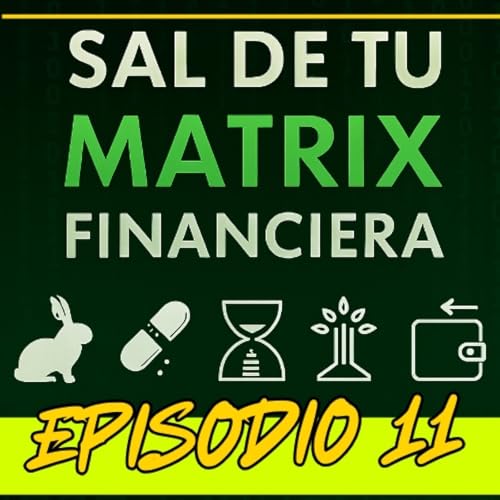 La Ingenier&iacute;a de Opciones: Recuperar tu Vida - EPISODIO 11 -