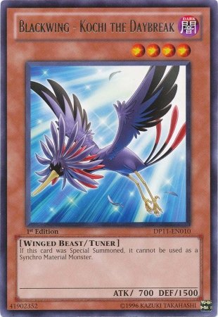 Amazon.com: YuGiOh 5D's Duelist Pack Crow Single Card Blackwing
