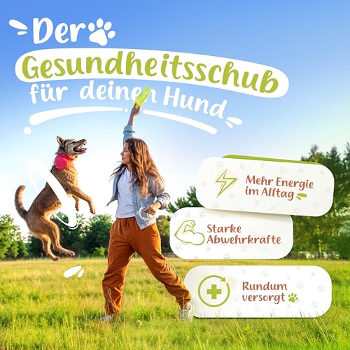 FeiniFit Vitamin B Komplex Hund Tropfen 100 ml – flüssige B-Vitamine für Hunde, leichte Einnahme statt Tabletten, B Vitamine Hunde (B1–B12) für einfache tägliche Versorgung, Made in Germany