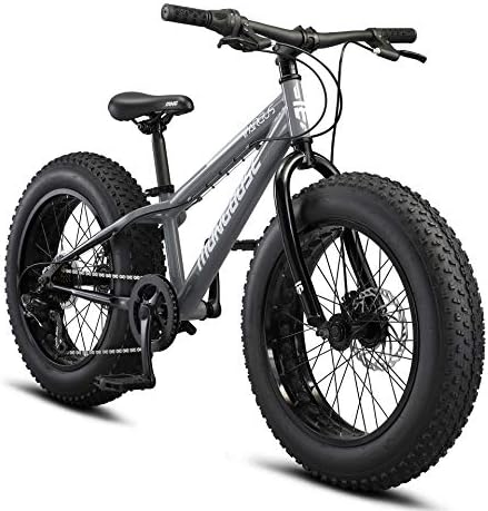 Mongoose Argus ST Kids Fat Tire Mountain Bike for Boys and Girls, 20 x 4 Inch Tires, 7-Speed, 10.5-Inch Steel Frame, Mechanical Disc Brakes, Twist Shifters, Grey