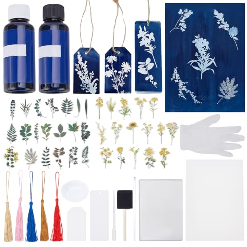 WEBEEDY   Kit de cianotipo (45 unidades, incluye 10 hojas de papel cianotipo A5, 10 páginas, 25 etiquetas en blanco para principiantes, adultos, kit de papel cianotipo