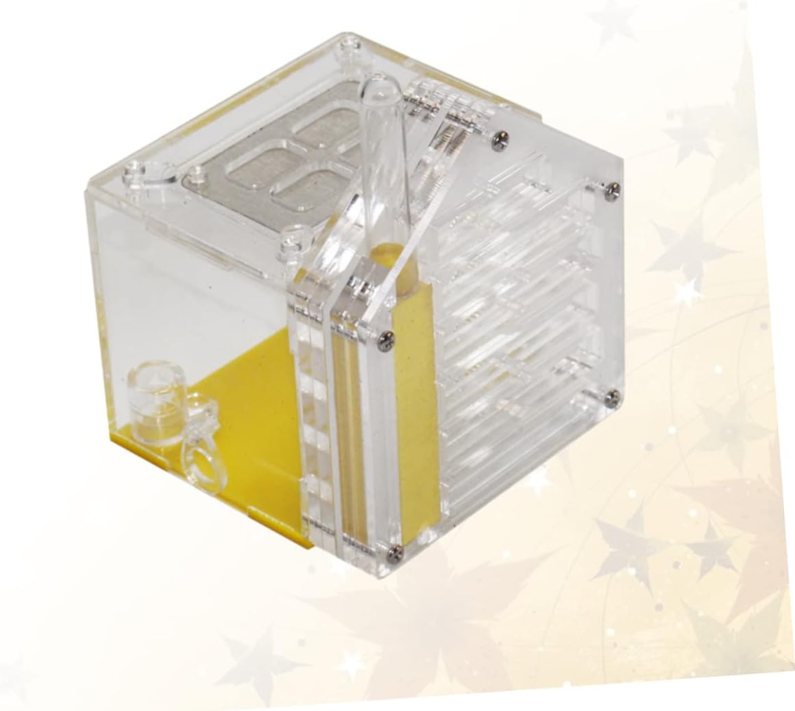 HEMOTON Kit for Boys and Girls Ant Acrylic Ant Breeding Box Lid Feeding and Storage Box