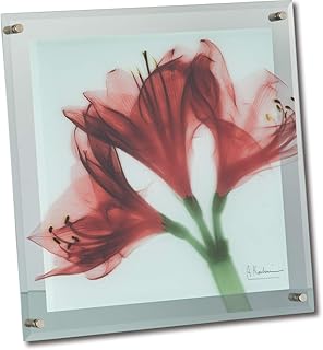ãƒ¦ãƒ¼ãƒ‘ãƒ¯ãƒ¼ Eupower X RAY Glass Art Medium Amaryllis XR-05014