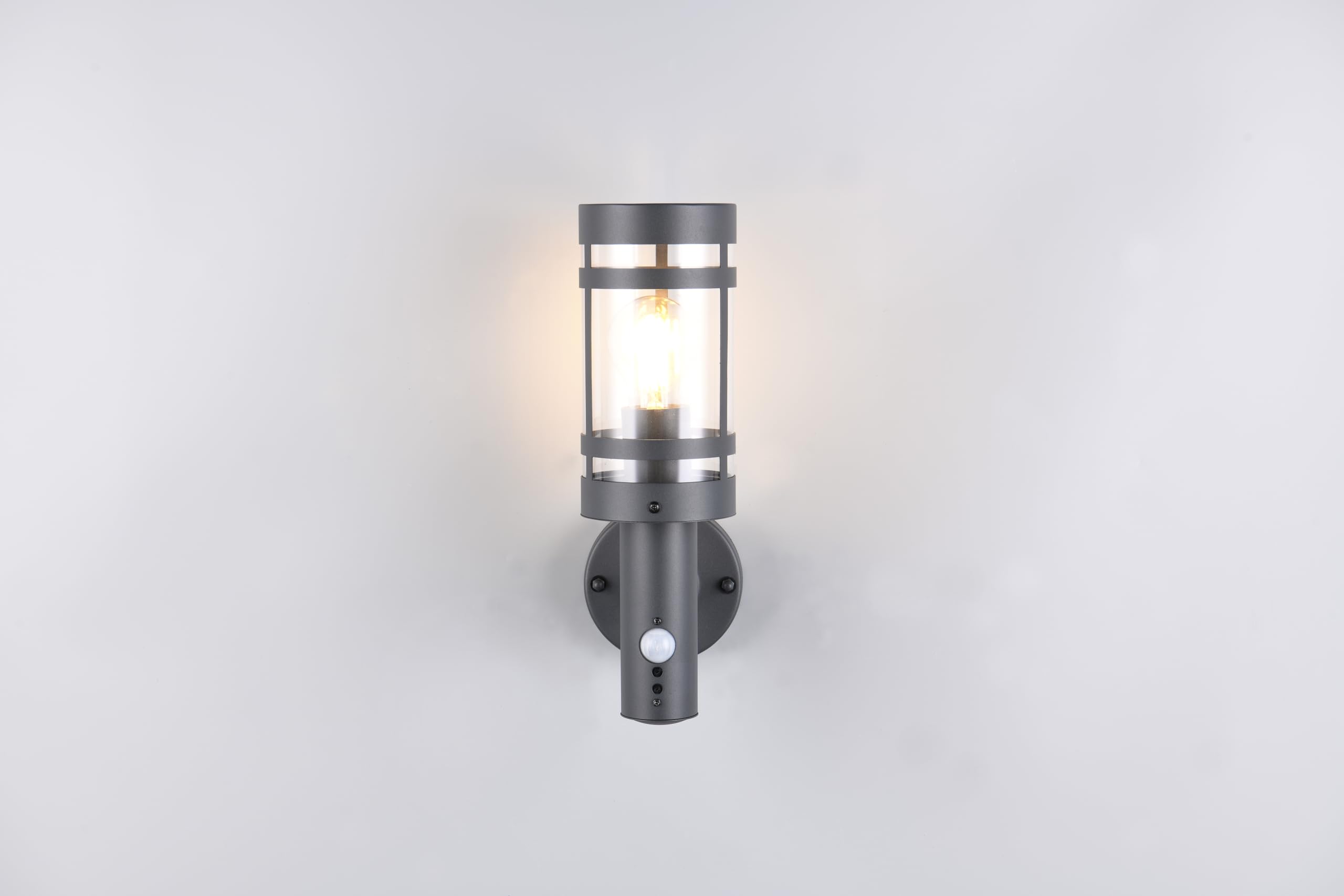 Reality Leuchten Paloma R21719142 - Lampada da parete per esterni, in metallo antracite, paralume in plastica trasparente, 1 x E27, sensore di movimento