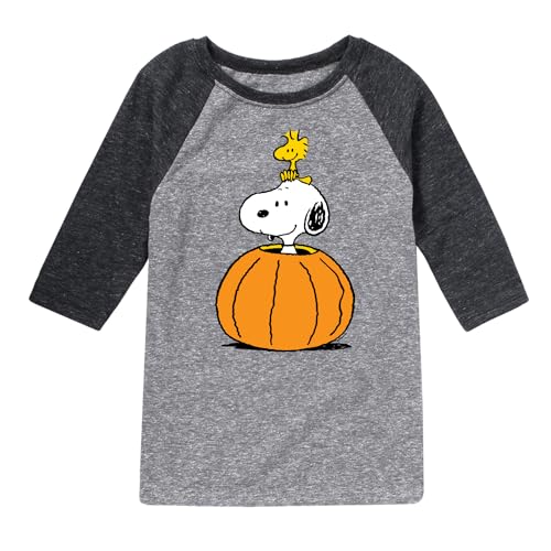 HYBRID APPAREL - Peanuts - Snoopy Woodstock Pumpkin - Toddler & Youth Raglan Graphic T-Shirt