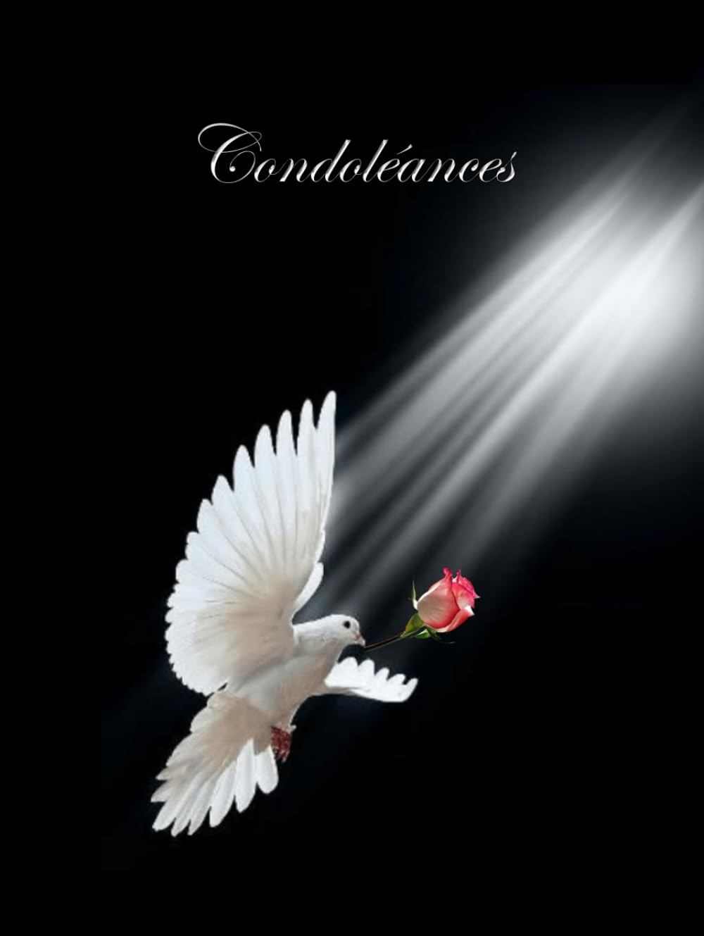 Livre de Condoléances: Livre relié de deuil | 100 pages pour honorer la mémoire d'un proche | Livre de recueillement | Livre d'or pour les funérailles |