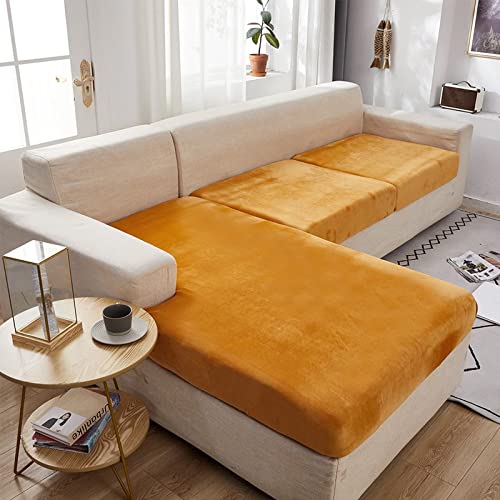 xxbg\t@Jo[ CNu[ NCjO`FAJo[ veN^[\t@ - ȒPtBbg Lk̂鐶n Xgb` @􂢉\ - \t@NbVJo[ n\t@`FAJo[ veN^[