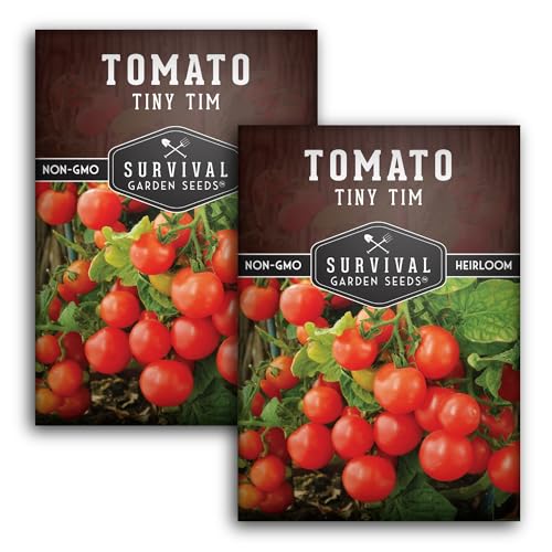 Tiny Tim Tomato Seeds - Dwarf Cherry Tomatoes for Planting Indoors or Patio, Compact Heirloom Variety for Containers, High Yield, Non-GMO - Survival Garden Seeds (2 Packs)