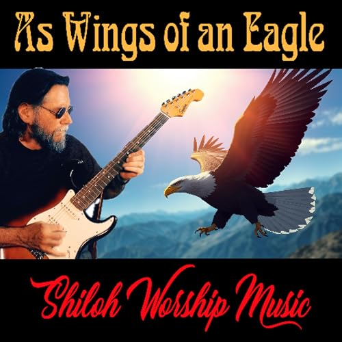 Page de couverture de As Wings Of An Eagle