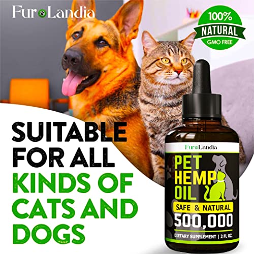 (2 Pack) Hemp Oil for Dogs and Cats - Dog Calming Aid - Hip and Joint Support and Skin Health, Immunity - Rich in Omega 3-6-9 - Pet Hemp Oil Drops - Made in USA - Image 6
