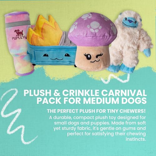 Snugarooz Plush & Crinkle Carnival Bundle para razas medianas miniatura 2