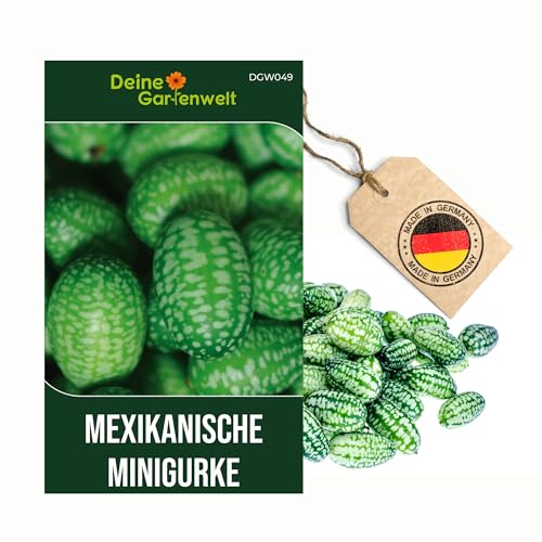 Mexikanische Minigurke Samen - Melothria scabra - -Gurkensamen - Minigurkensamen - Gemüsesamen - Saatgut für 10 Pflanzen
