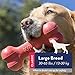 KONG Goodie Bone - Classic Durable Natural Rubber Dog Bone, Supports Mental Engagement - Treat Dispensing - Red - for Large Dogs