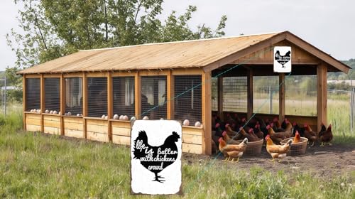 Vintage Metal Tin Sign Funny Sarcastic Party Wall Art Decor Signs "Life is Better with Chickens" Vintage Metal Sign, 8x12 Inch Wall Art, Perfect for Farmhouse, Kitchen, Country Home Decor, and Chicken Coop Decoration