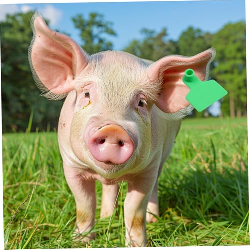 Étiquettes d'oreille pour mouton et chèvre lisibles pour inventaire rapide